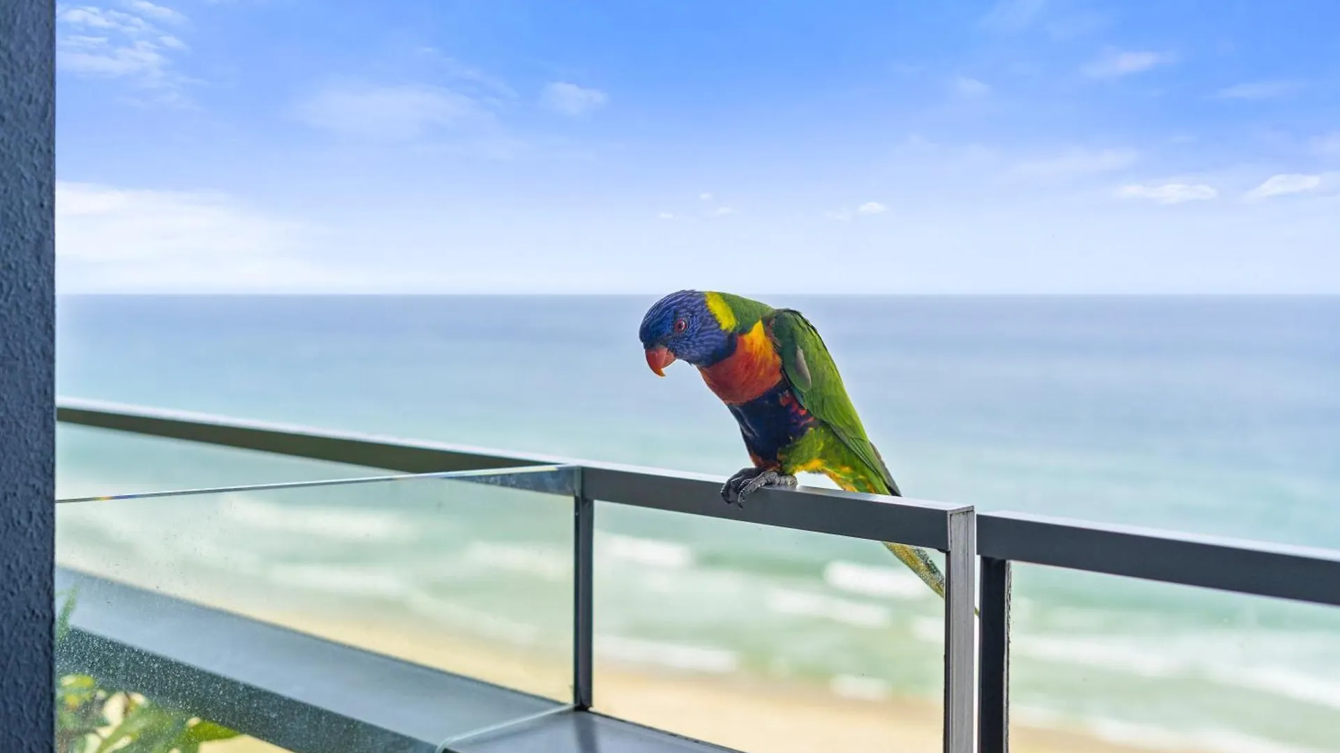 아파트 1 Bedroom Ocean View Luxury Unit - Q Stay 골드코스트 오스트레일리아